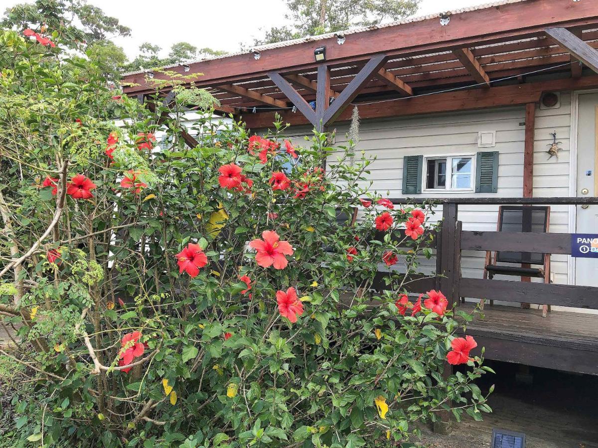Panorama Ocean View Cottage Motobu Zewnętrze zdjęcie